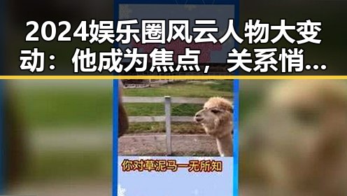 2024娱乐圈风云人物大变动：他成为焦点，关系悄然变化