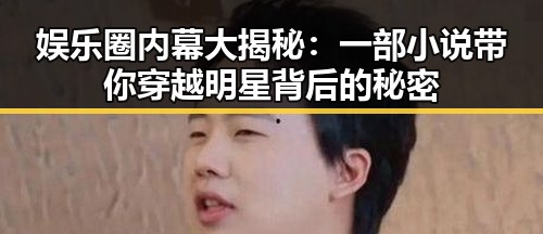 娱乐圈内幕大揭秘：一部小说带你穿越明星背后的秘密